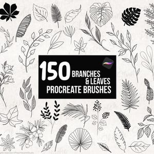 150 sellos de ramas y hojas para Procreate, set de pinceles con diseños de arte lineal de follaje (descarga digital)