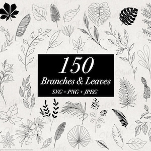 May include: A selection of 150 monochrome botanical illustrations featuring branches and leaves in diverse forms. The image includes the text "150 Branches & Leaves SVG + PNG + JPEG".