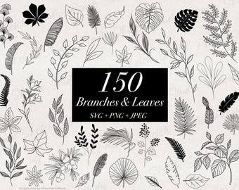 150 Blätter & Zweige, SVG PNG JPEG Botanische Line Art, Laubschablonendesigns (Digitaler Download)