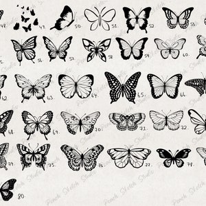 Procreate 80 Butterfly Stamp Brushes, Tattoo Stencil Brush Pack, Detailed Butterflies Brush Set, Commercial Use, Hand-drawn Digital Download image 3