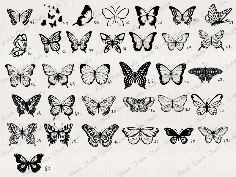 Procreate 80 Butterfly Stamp Brushes, Tattoo Stencil Brush Pack, Detailed Butterflies Brush Set, Commercial Use, Hand-drawn Digital Download image 3