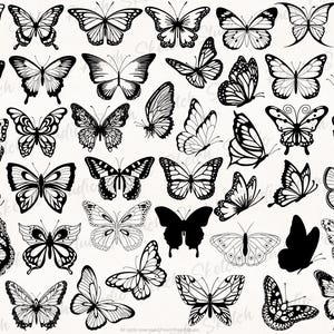 Display of the butterfly stamp designs included. Detailed, delicate and unique individual butterfly designs.