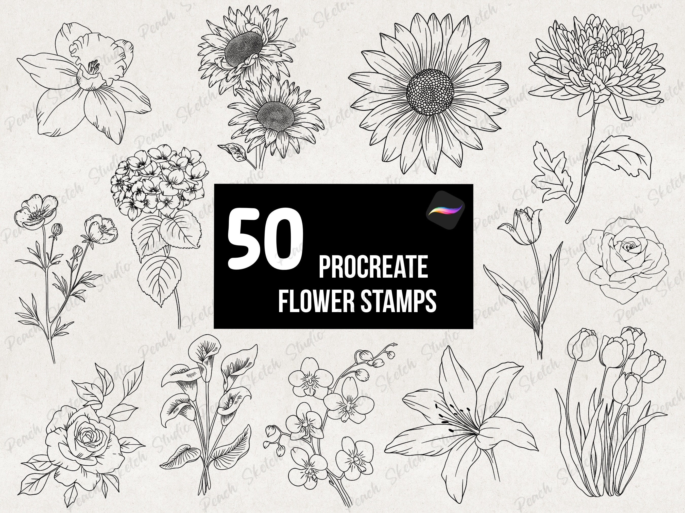 50 pinceles sello de flores para Procreate – Plantillas de tatuaje florales, set botánico de línea fina, descarga digital instantánea