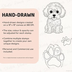 Listing image explaining hand-drawn Procreate stamps, created at 300 DPI. Text notes that designs can be resized, recolored, and combined, with personal and commercial use allowed. The poodle dog, line paw print and dogs paw designs shown next to text.