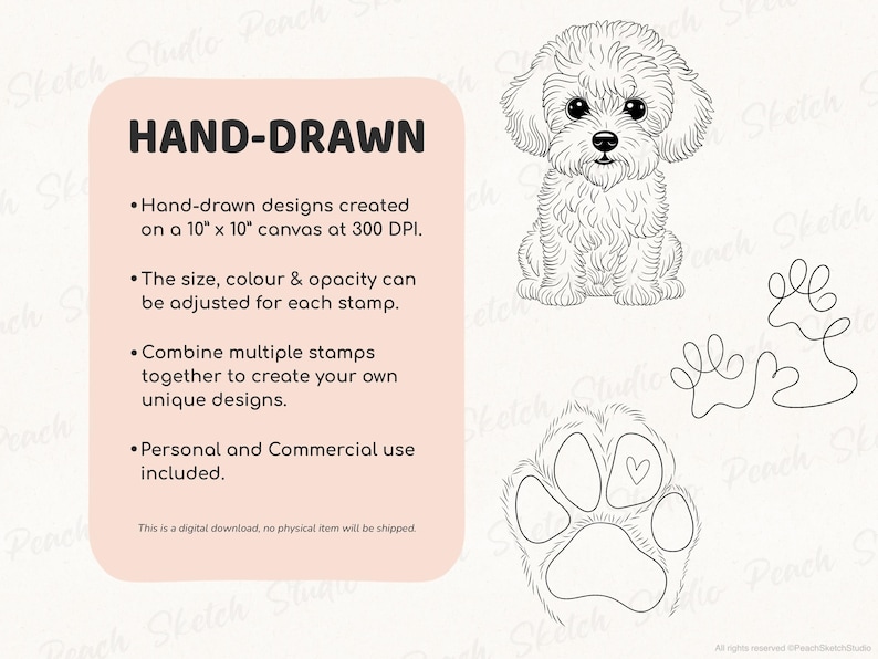 Listing image explaining hand-drawn Procreate stamps, created at 300 DPI. Text notes that designs can be resized, recolored, and combined, with personal and commercial use allowed. The poodle dog, line paw print and dogs paw designs shown next to text.