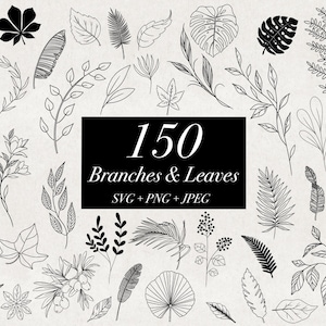 150 Branches & Leaves Bundle SVG PNG JPEG, Delicate Plant Line Botanical Tropical Leaves Clip Art Floral Bundle, Wedding Art, Digital