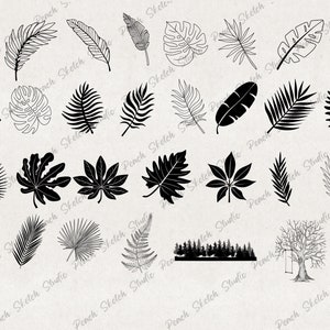60 Trees & Leaves Designs, PNG JPEG Image Files, Hand Drawn Line ...