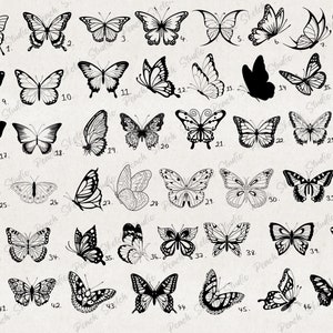 Procreate 80 Butterfly Stamp Brushes, Tattoo Stencil Brush Pack, Detailed Butterflies Brush Set, Commercial Use, Hand-drawn Digital Download image 2