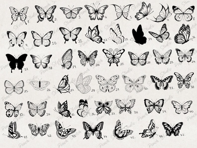 Procreate 80 Butterfly Stamp Brushes, Tattoo Stencil Brush Pack, Detailed Butterflies Brush Set, Commercial Use, Hand-drawn Digital Download image 2