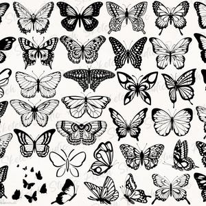 An overview display of some of the butterfly designs included, mixed between fancy, minimalistic and detailed butterflies. Ideal for tattoo flash designs and stencils and other digital projects.