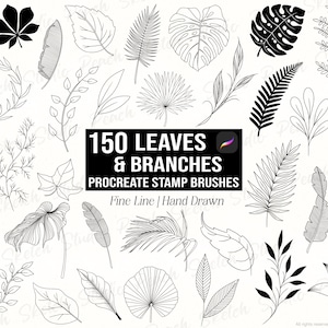 150 sellos de ramas y hojas para Procreate, diseños de arte lineal de follaje, pinceles botánicos para Procreate (descarga digital)