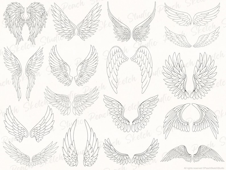 Display of the final angel wing designs included in JPEG, PNG and SVG format. Each one is hand drawn with black fine lines with delicate details. The line drawings shown are mixed positions of the wings and styles.