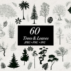 60 Baum und Blätter Bilddateien, JPEG PNG SVG, botanische Linie Illustrationen Schablonen, Blatt Clipart, handgezeichnete Umrisse digitaler Download