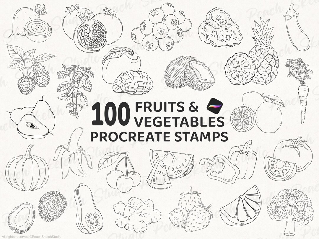 100 Fruit & Vegetable Procreate Stamps, Food Line Art Procreate Brushes ...