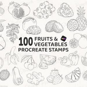 100 Fruit & Vegetable Procreate Stamps, Food Line Art Procreate Brushes (Digital Download)