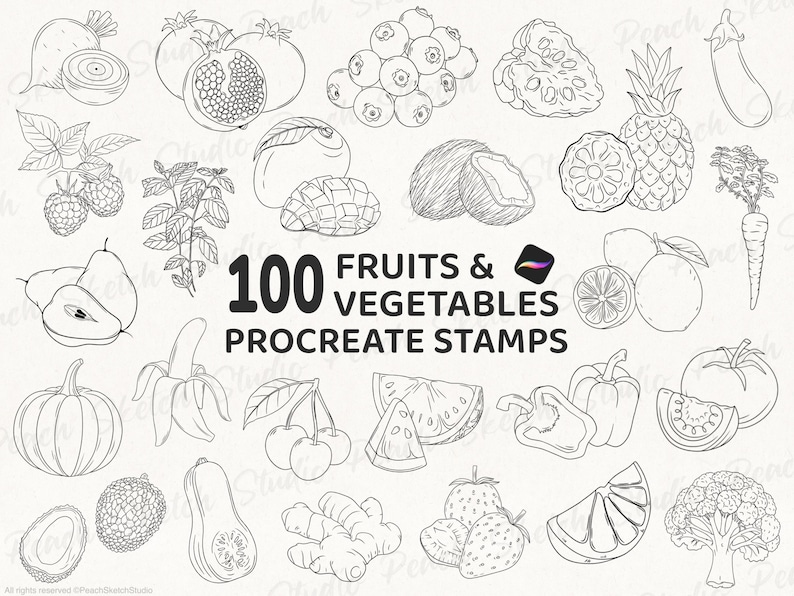 100 Fruit & Vegetable Procreate Stamps, Food Line Art Procreate Brushes ...