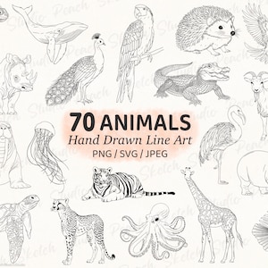 70 Animal Illustrations: SVG, PNG, JPEG Hand drawn Line Art Designs (Digital Download)