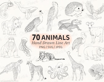70 Animal Illustrations: SVG, PNG, JPEG Hand drawn Line Art Designs (Digital Download)