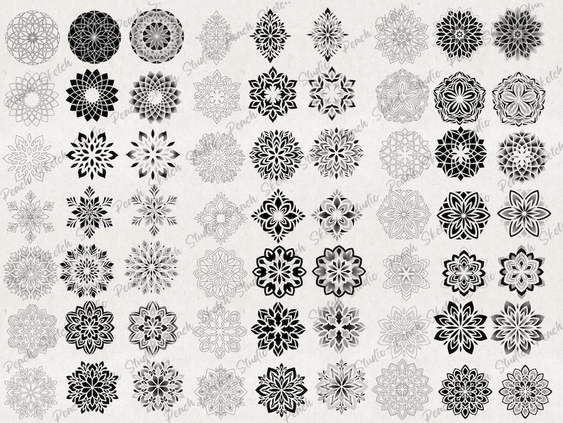 A collection of 48 black and white mandala designs. The mandalas are intricate and detailed, with a variety of geometric patterns. The mandalas are arranged in a grid pattern on a white background.