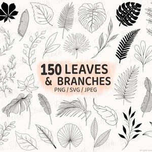 150 Leaves & Branches, SVG PNG JPEG Botanical Line Art, Foliage Stencil Designs (Digital Download)