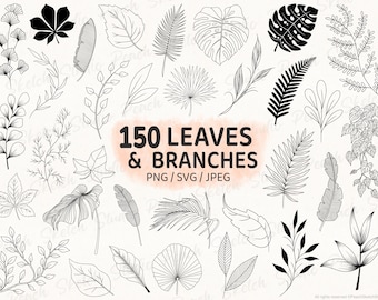 150 Leaves & Branches, SVG PNG JPEG Botanical Line Art, Foliage Stencil Designs (Digital Download)