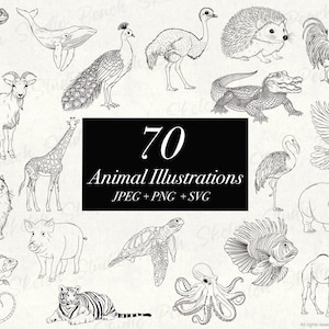70 Animal Illustrations: SVG, PNG, JPEG Hand drawn Line Art Designs (Digital Download)