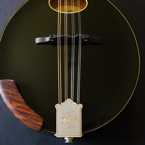 Rosewood Voight Mandolin Armrest image 5