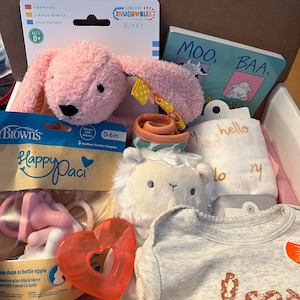 New Baby Gift Box, Baby Gift Set Newborn Boys, Girls, Unisex, Baby Gift Basket, Stuffed Animal Gift, Welcome Baby Shower Gift, Baby Clothing