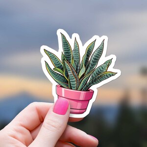 Sticker plante serpent en pot, plante en pot imperméable pour décorer une bouteille d'eau, ordinateur portable, journal intime, Kindle, pour les filles et les mamans, amateurs de plantes succulentes