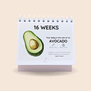 Calendrier de grossesse | Suivi hebdomadaire de la croissance de bébé | Cadeau de grossesse attentionné | Cadeau pour future maman | Cadeau faire-part de grossesse
