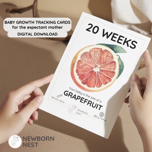 Cartes d'étape numériques de la grossesse | Cartes de suivi de la croissance de bébé Fruits et légumes | Suivi hebdomadaire de la taille de bébé