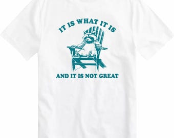 It Is What It Is And It Is Not Great T-Shirt Raccoon Cartoon Unisex Top Tee