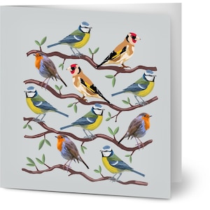 British Birds - Pack of 10 Blank Greeting Cards and premium envelopes (EU & RoW)