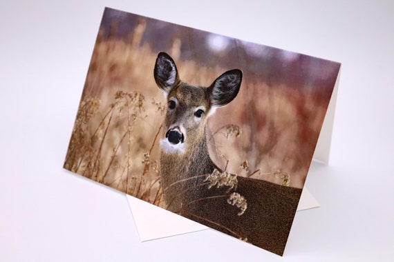 Autumn Deer Photo Greeting Card: Linen Paper, Any Occasion