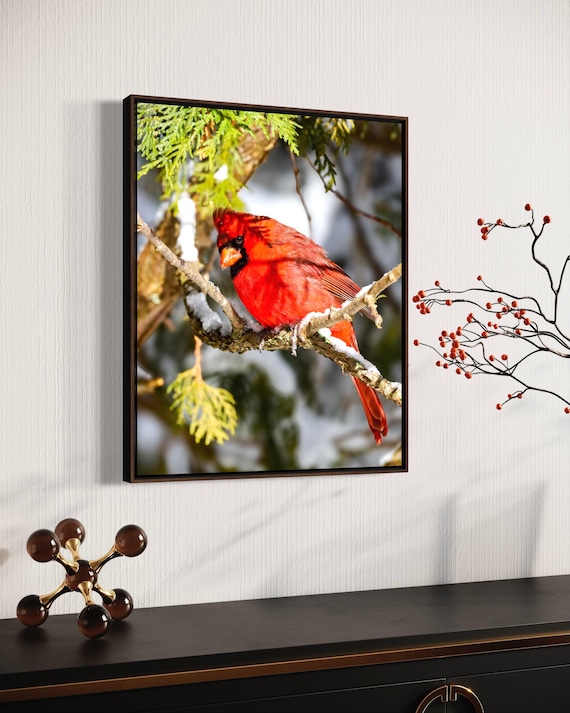 Northern Cardinal Fine Art Print: Styled Stock Photo, Printable Wall Art (Digital Download)