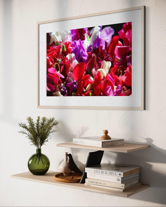 Sweet Pea Flower Photography: Printable Fine Art (Digital Download)