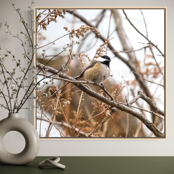 Black-Capped Chickadee Photography Print: Styled Stock Photo (Digital Download)