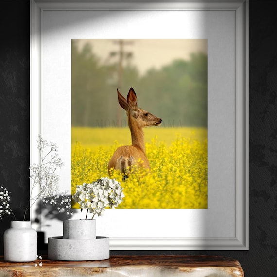 Deer Photo Print: Styled Stock Photo, Animal Fine Art (Digital Download)