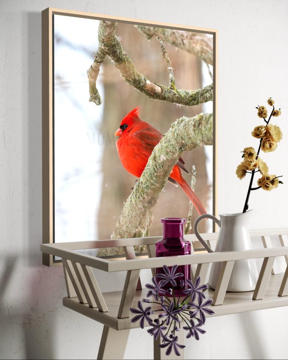 Northern Cardinal Photography: Styled Stock Photo, Bird Fine Art (Digital Download)