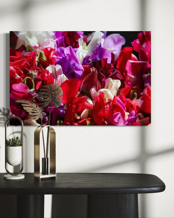 Sweet Pea Flower Photography: Printable Fine Art (Digital Download)