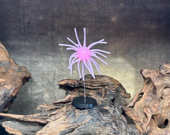 2.5” Fuzzy Urchin (w/-5/8” internal body) ( Bubblegum )