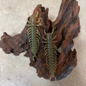 May include: Two green and yellow plastic centipede lures for fishing. The lures are on a brown piece of driftwood.