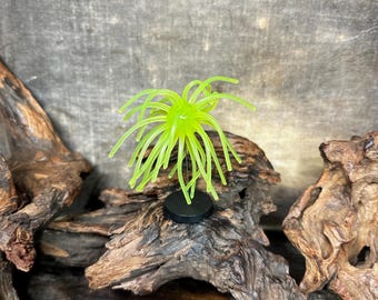 4” Fuzzy Urchin (w/-3/4”  body) - ( Yellow Chartreuse )