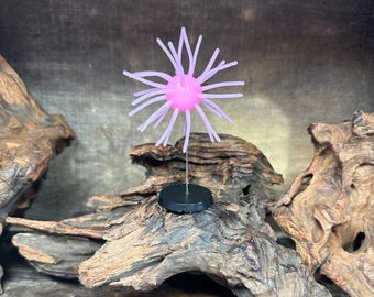 2.5” Fuzzy Urchin (w/-3/4” body) ( Bubblegum )