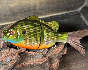 Roma Trout - 7.5