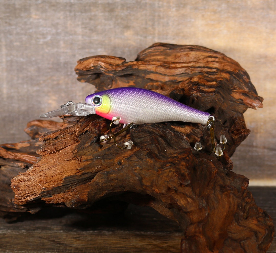 Saugeye Rigs 2.5” Flick Bait Walleye & Saugeye Bait ( Purple Silver ) - Etsy