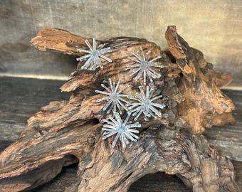 1.25” Fuzzy Urchin ( Monkey Milk )