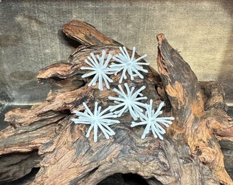 1.25” Fuzzy Urchin ( White )