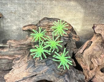 1.25” Fuzzy Urchin ( Yellow Chartreuse )