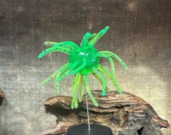 2.5” Fuzzy Urchin (w/-3/4”  body)